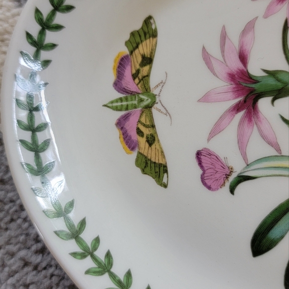 Portmeirion Botanic Garden Oval Steak  Platter - Picture 6 of 7